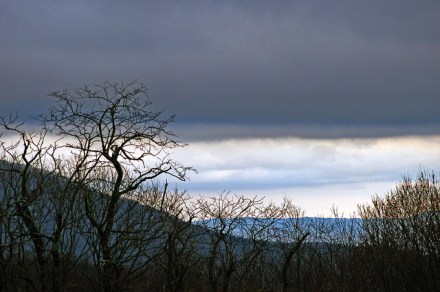 Image from Flickr.Com -- All rights reserved by Fiddling Bob