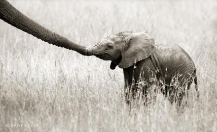 Image from Cuded.Com -- Photo by Marina Cano