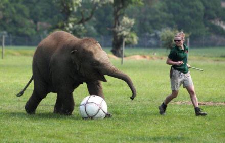 Image from Gma.Yahoo.Com -- (AP Photo/Steve Parsons/PA Wire)