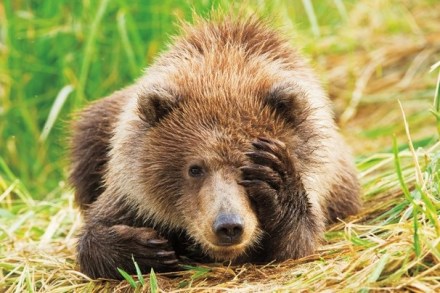 Image from PositiveThoughtsOnLife.Wordpress.Com