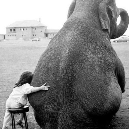 Image from WeHeartIt.Com