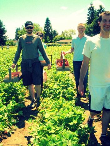 strawberry picking with the gang
