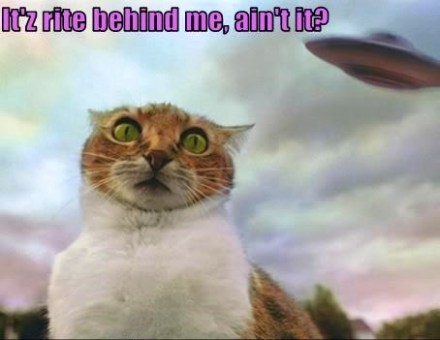 Image from Cheezburger.Com