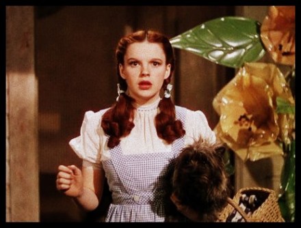 Image from FocusFeatures.Com