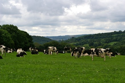 Image from HarriganHolidays.Com